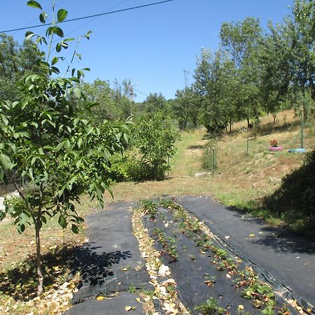 Vale de Pradinhos Bungalow "A Choupana" - Quinta Da Carvoica - Vale Pradinhos מראה חיצוני תמונה
