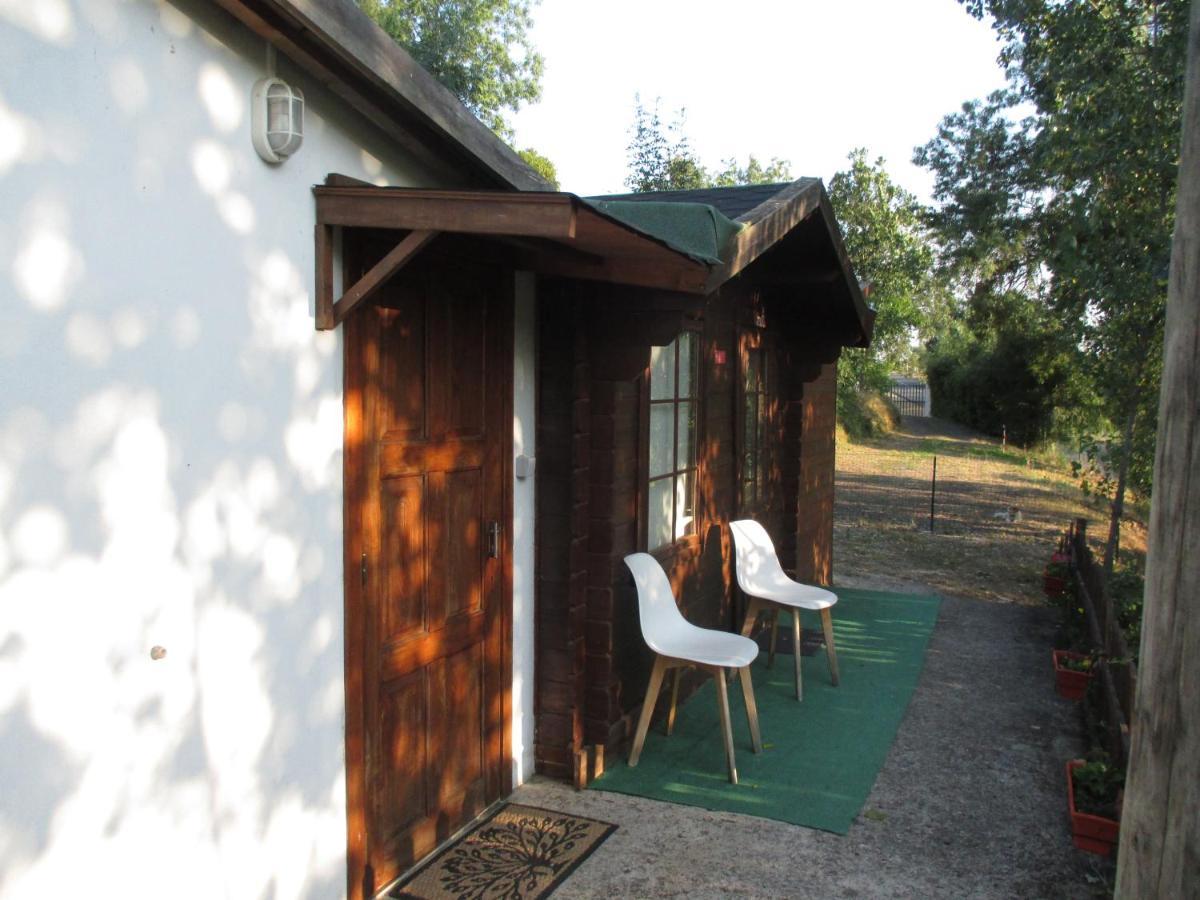 Vale de Pradinhos Bungalow "A Choupana" - Quinta Da Carvoica - Vale Pradinhos מראה חיצוני תמונה