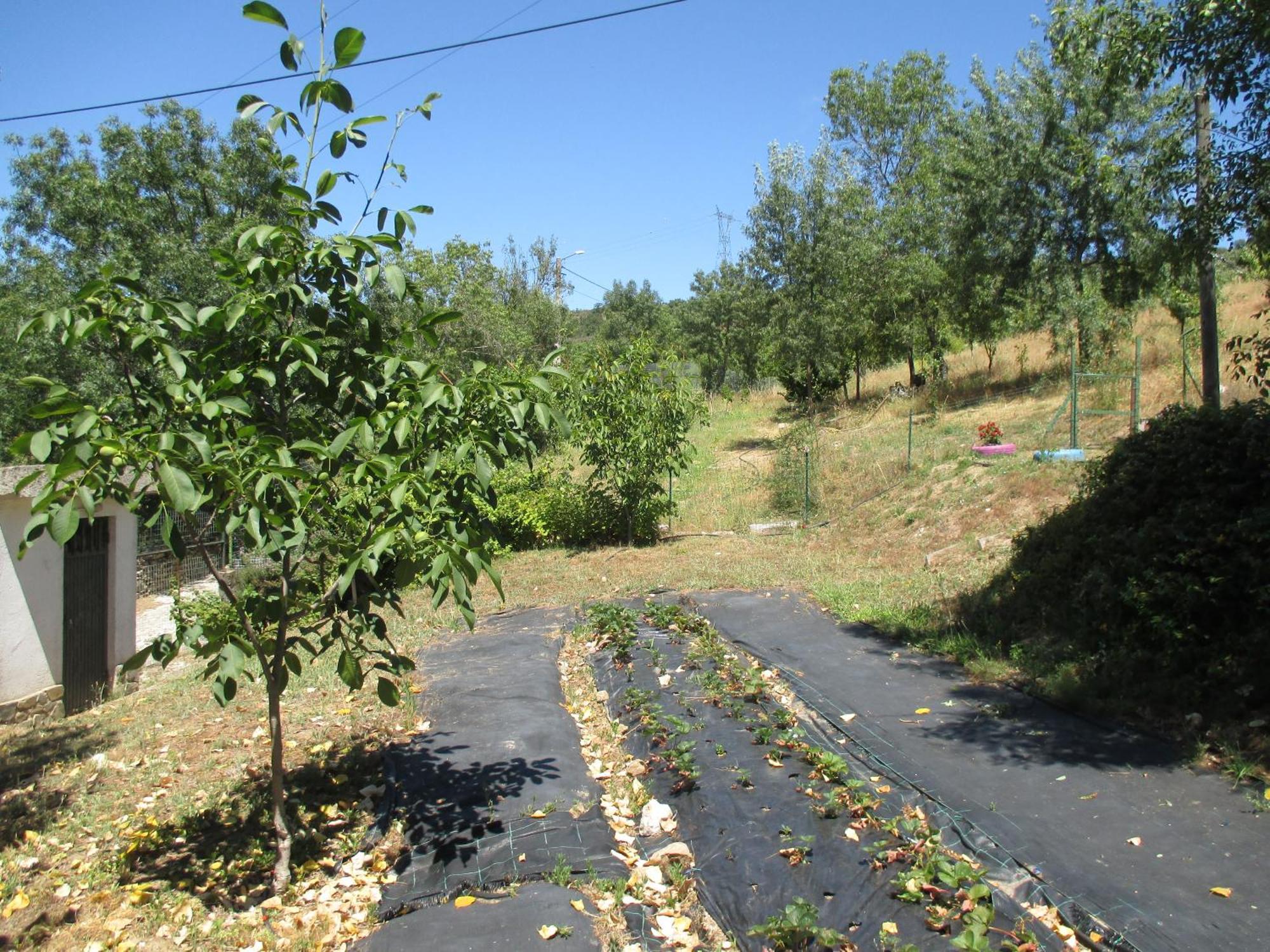 Vale de Pradinhos Bungalow "A Choupana" - Quinta Da Carvoica - Vale Pradinhos מראה חיצוני תמונה