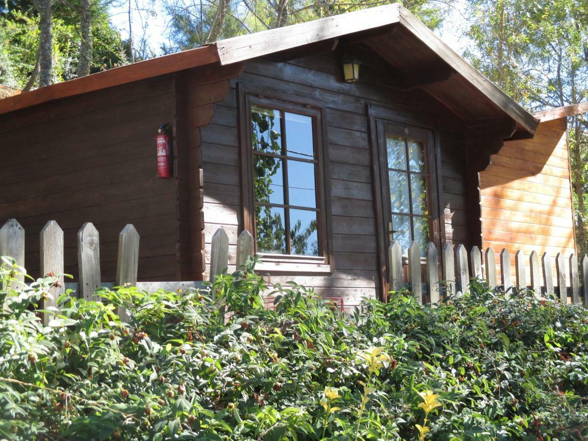 Vale de Pradinhos Bungalow "A Choupana" - Quinta Da Carvoica - Vale Pradinhos מראה חיצוני תמונה